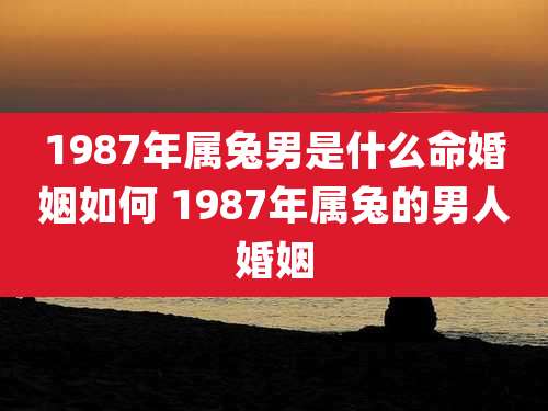 1987年属兔男是什么命婚姻如何 1987年属兔的男人婚姻