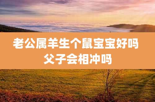 老公属羊生个鼠宝宝好吗 父子会相冲吗