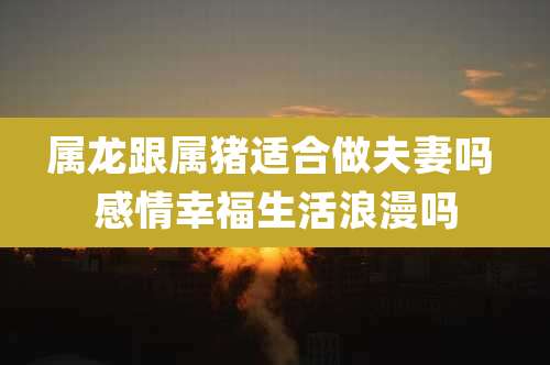 属龙跟属猪适合做夫妻吗 感情幸福生活浪漫吗