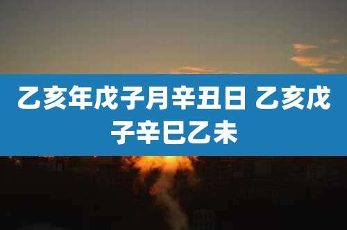 乙亥年戊子月辛丑日 乙亥戊子辛巳乙未
