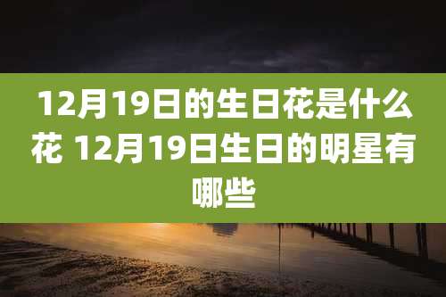 12月19日的生日花是什么花 12月19日生日的明星有哪些