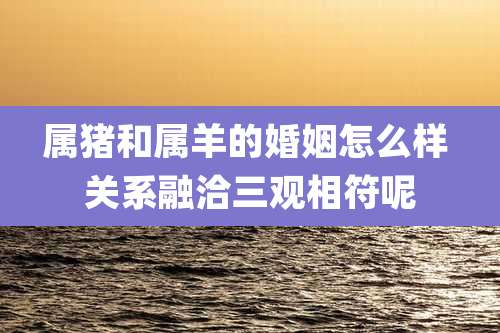 属猪和属羊的婚姻怎么样 关系融洽三观相符呢