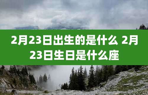 2月23日出生的是什么 2月23日生日是什么座
