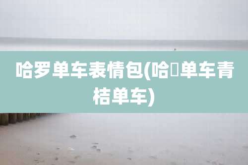 哈罗单车表情包(哈啰单车青桔单车)