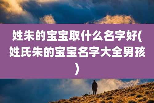 姓朱的宝宝取什么名字好(姓氏朱的宝宝名字大全男孩)