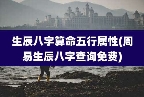 生辰八字算命五行属性(周易生辰八字查询免费)