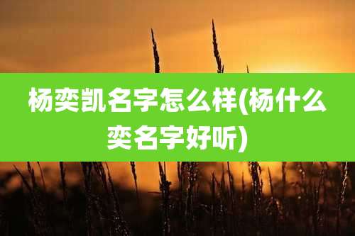 杨奕凯名字怎么样(杨什么奕名字好听)