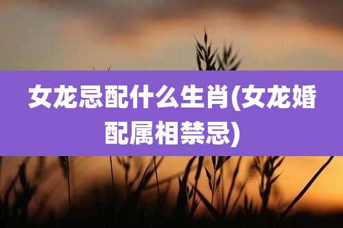 女龙忌配什么生肖(女龙婚配属相禁忌)