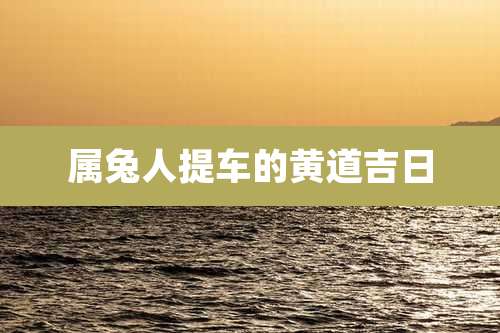 属兔人提车的黄道吉日