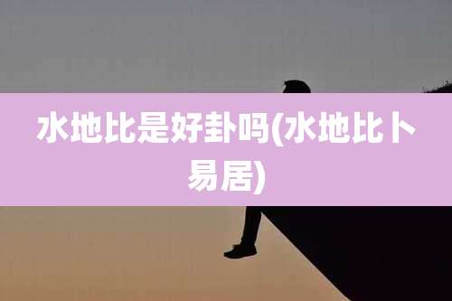 水地比是好卦吗(水地比卜易居)