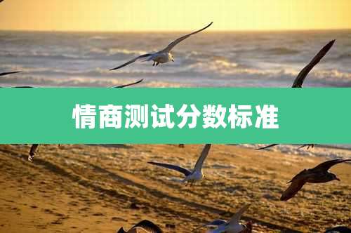 情商测试分数标准