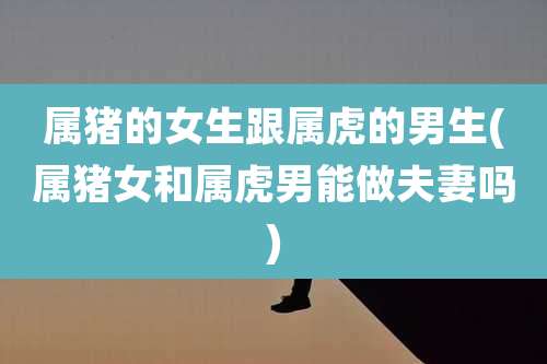 属猪的女生跟属虎的男生(属猪女和属虎男能做夫妻吗)