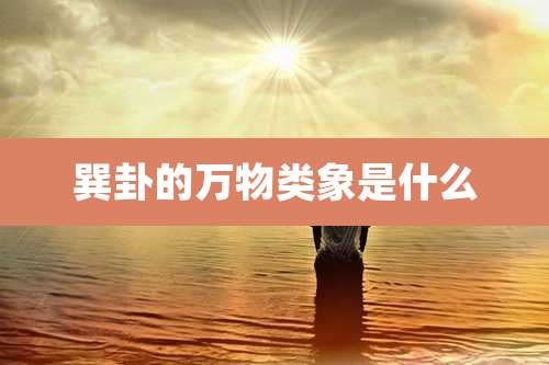 巽卦的万物类象是什么