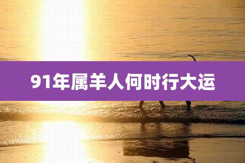 91年属羊人何时行大运