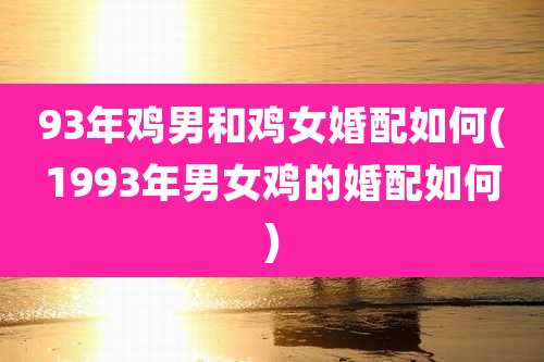 93年鸡男和鸡女婚配如何(1993年男女鸡的婚配如何)