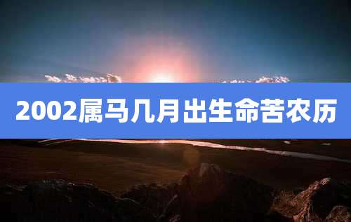 2002属马几月出生命苦农历