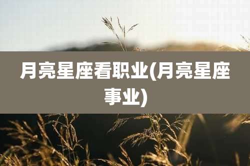 月亮星座看职业(月亮星座事业)