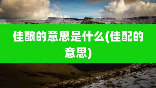 佳酿的意思是什么(佳配的意思)
