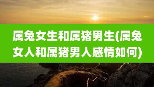 属兔女生和属猪男生(属兔女人和属猪男人感情如何)