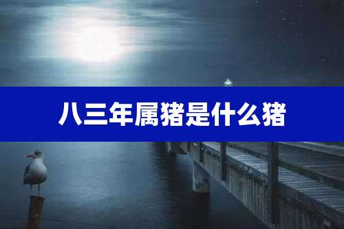 八三年属猪是什么猪