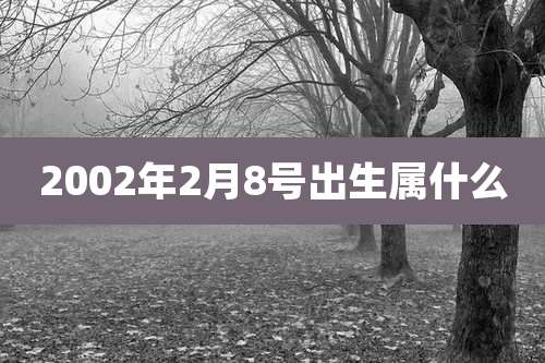 2002年2月8号出生属什么