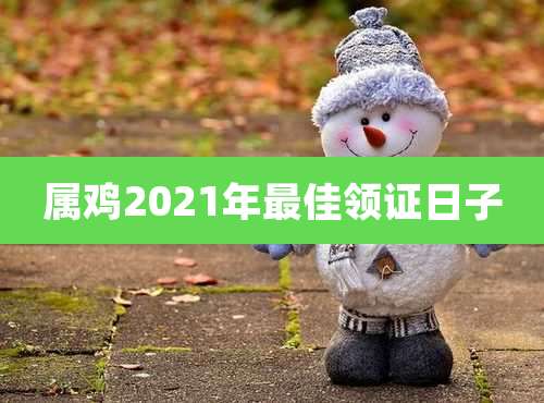 属鸡2021年最佳领证日子