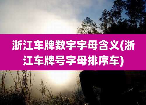 浙江车牌数字字母含义(浙江车牌号字母排序车)
