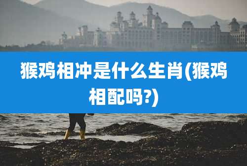 猴鸡相冲是什么生肖(猴鸡相配吗?)