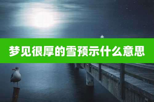 梦见很厚的雪预示什么意思