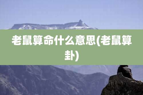 老鼠算命什么意思(老鼠算卦)