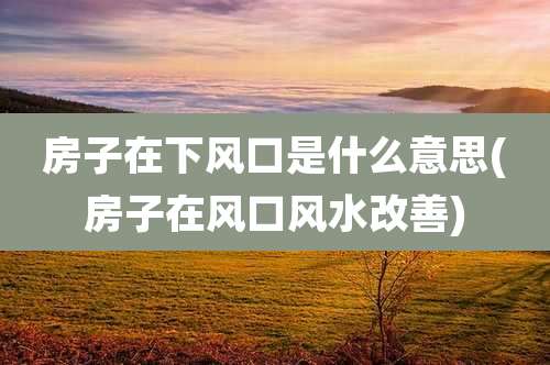 房子在下风口是什么意思(房子在风口风水改善)