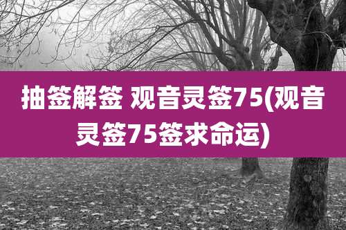 抽签解签 观音灵签75(观音灵签75签求命运)