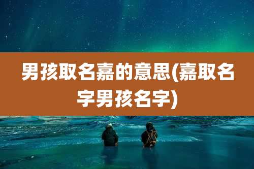 男孩取名嘉的意思(嘉取名字男孩名字)