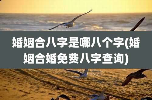 婚姻合八字是哪八个字(婚姻合婚免费八字查询)
