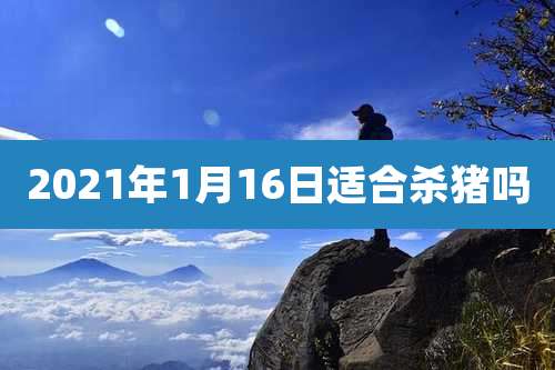 2021年1月16日适合杀猪吗
