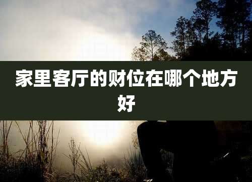 家里客厅的财位在哪个地方好