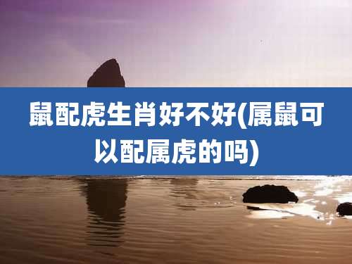 鼠配虎生肖好不好(属鼠可以配属虎的吗)