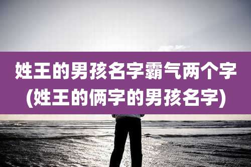 姓王的男孩名字霸气两个字(姓王的俩字的男孩名字)