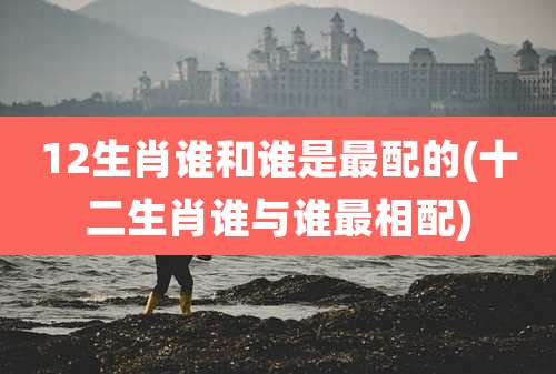 12生肖谁和谁是最配的(十二生肖谁与谁最相配)