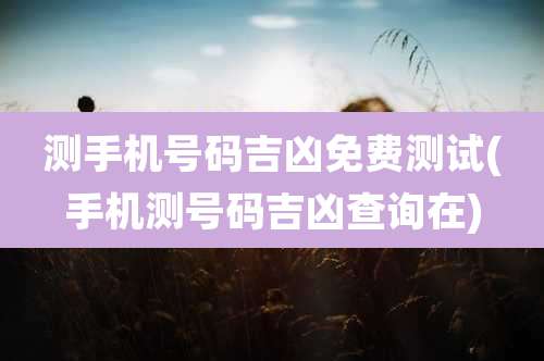 测手机号码吉凶免费测试(手机测号码吉凶查询在)