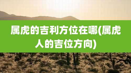 属虎的吉利方位在哪(属虎人的吉位方向)