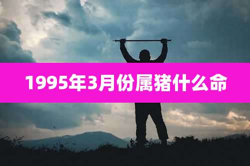 1995年3月份属猪什么命