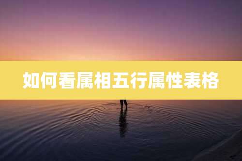 如何看属相五行属性表格