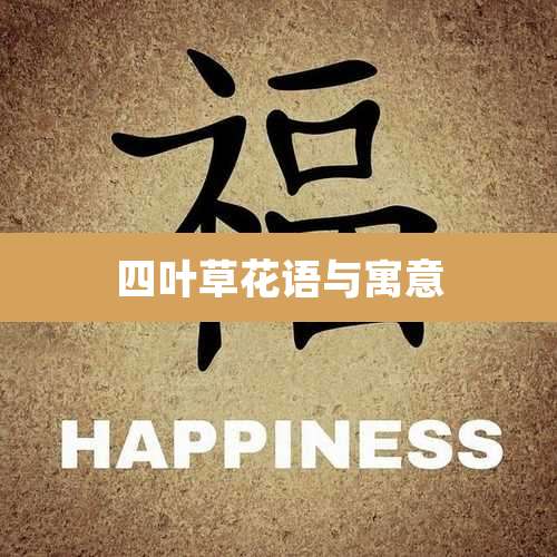 四叶草花语与寓意