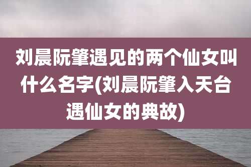 刘晨阮肇遇见的两个仙女叫什么名字(刘晨阮肇入天台遇仙女的典故)
