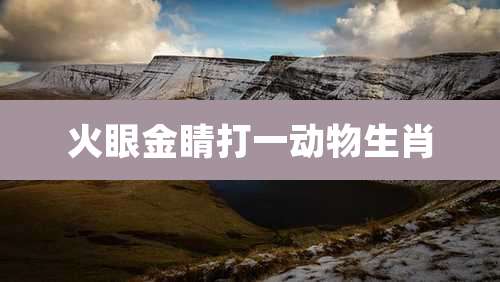 火眼金睛打一动物生肖