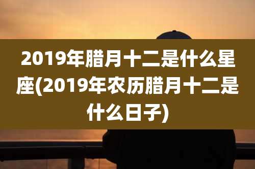 2019年腊月十二是什么星座(2019年农历腊月十二是什么日子)