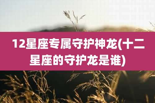 12星座专属守护神龙(十二星座的守护龙是谁)