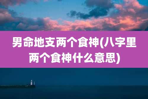 男命地支两个食神(八字里两个食神什么意思)