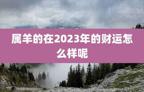 属羊的在2023年的财运怎么样呢